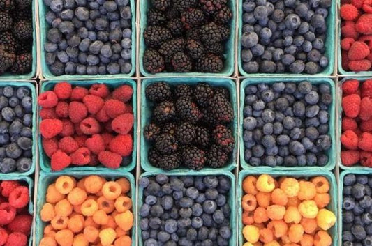 Saisonkalender Obst